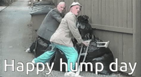 funny hump gif|More.